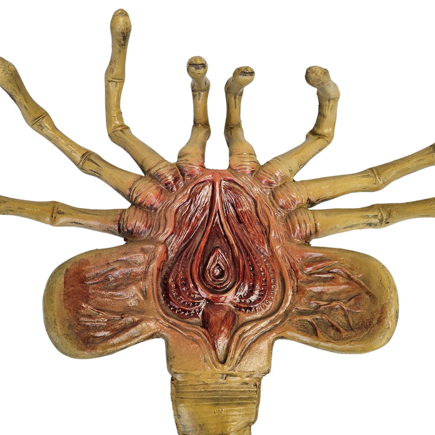 NECA Alien Facehugger Foam Prop Replica - Life-Size