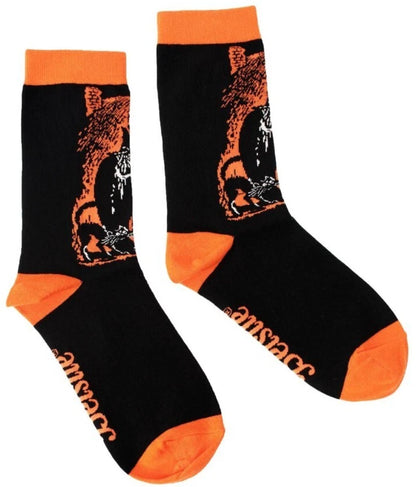 NEW Creepy Co. Beistle WITCHS BREW Socks Witches Halloween Spooky Goth